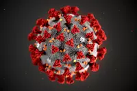 coronavirus 300 6805